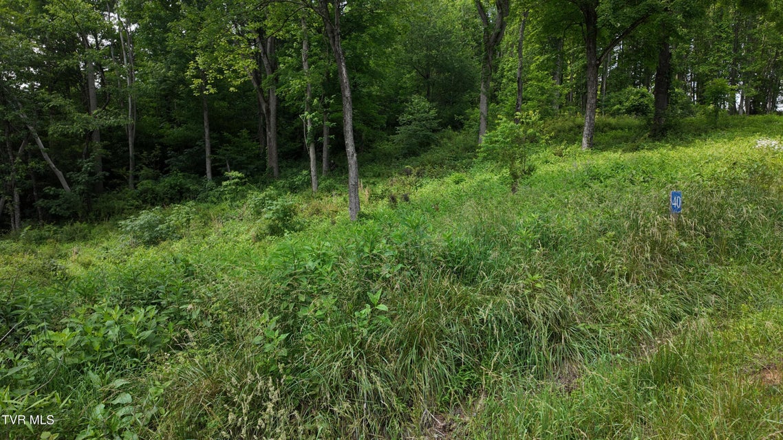 Photo #68: Tr 40 Cowan Town Road