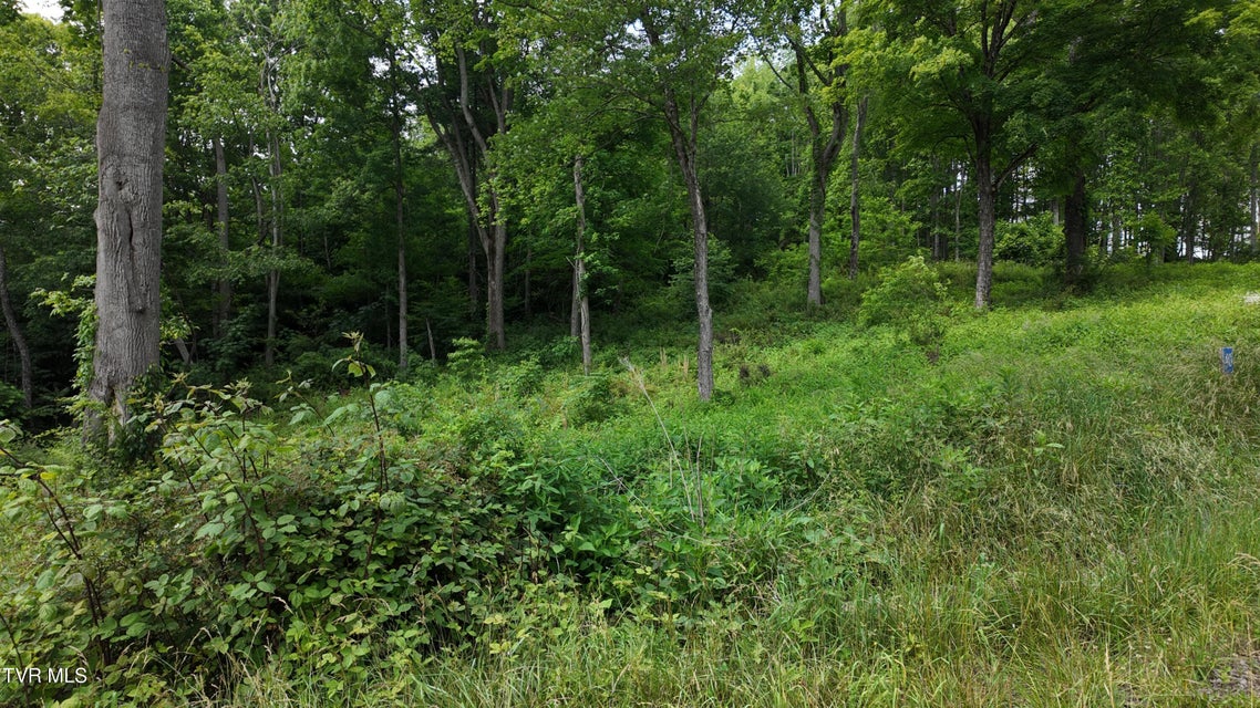 Photo #69: Tr 40 Cowan Town Road