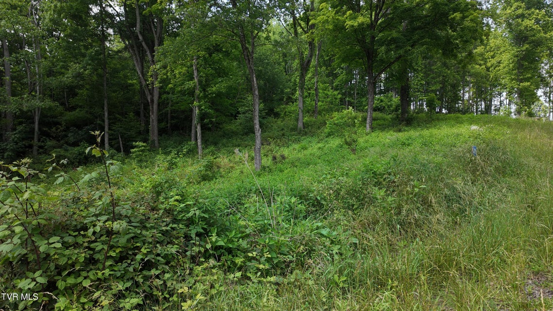 Photo #70: Tr 40 Cowan Town Road