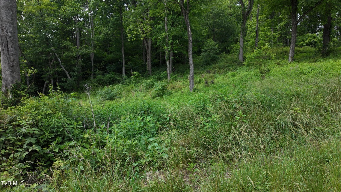 Photo #71: Tr 40 Cowan Town Road