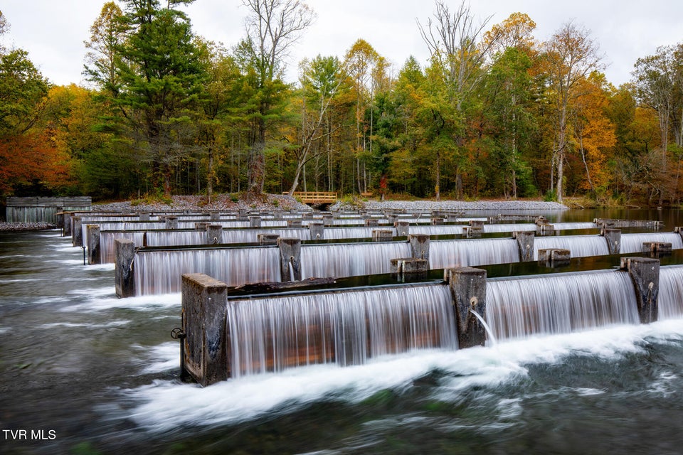 Photo #27: 383 Tva Road