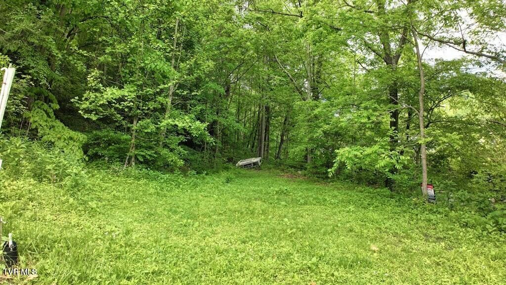 Photo #2: Tbd Carl Vance Drive