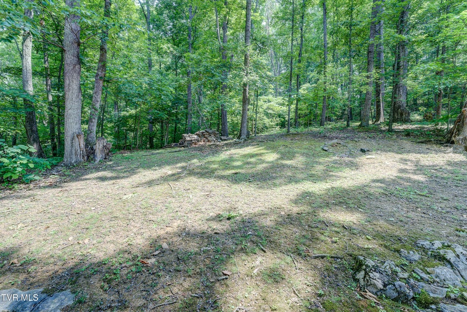 Photo #54: 173 Brystone Drive