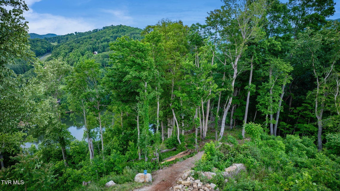 Photo #9: Lot 24 Cowan Town Road