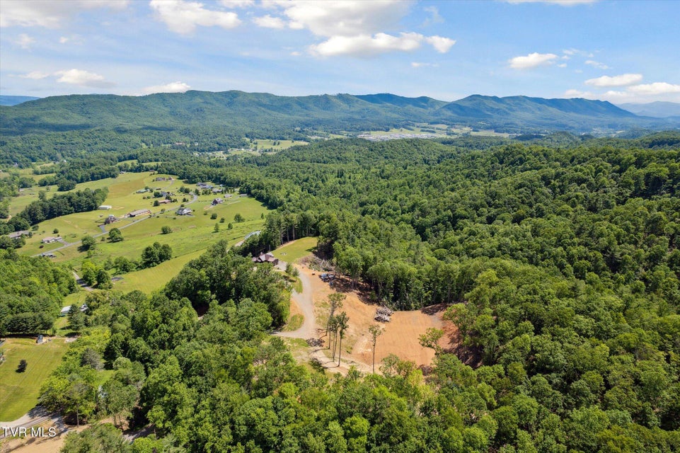 Photo #63: 620 Swift Hollow Lane