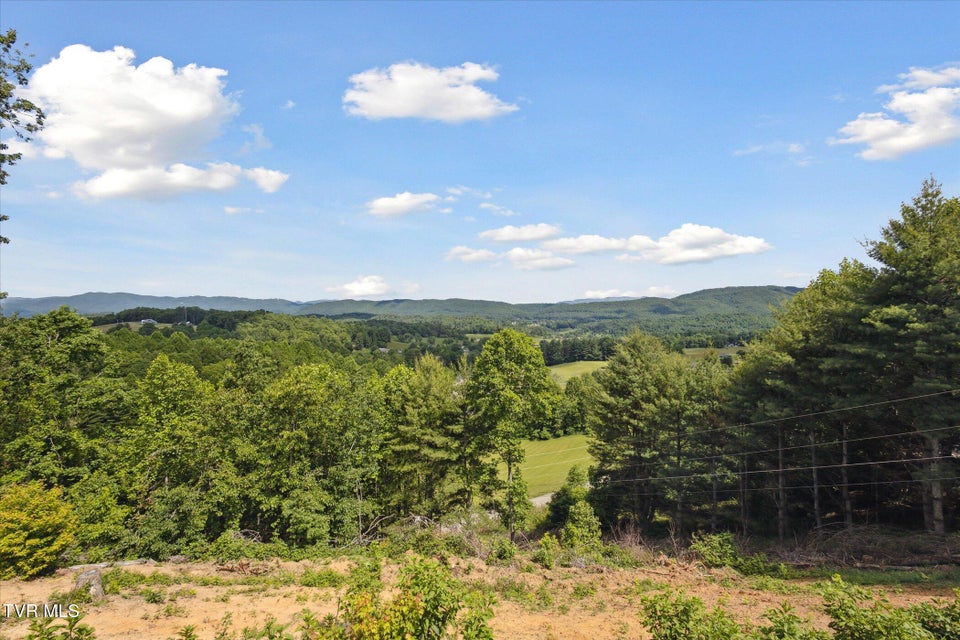 Photo #54: 620 Swift Hollow Lane