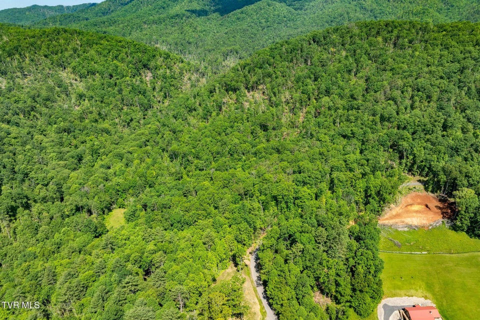 Photo #6: Tbd Longview Private Drive