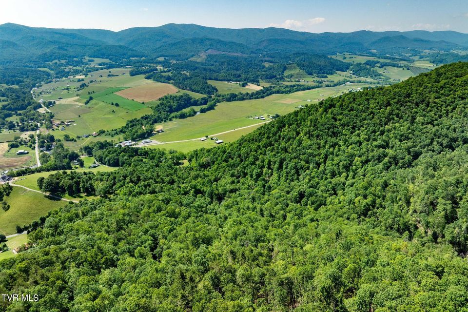 Photo #8: Tbd Longview Private Drive
