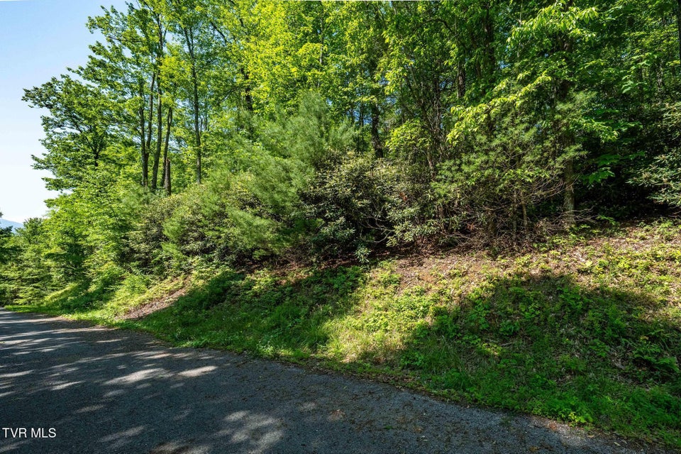 Photo #15: Tbd Longview Private Drive
