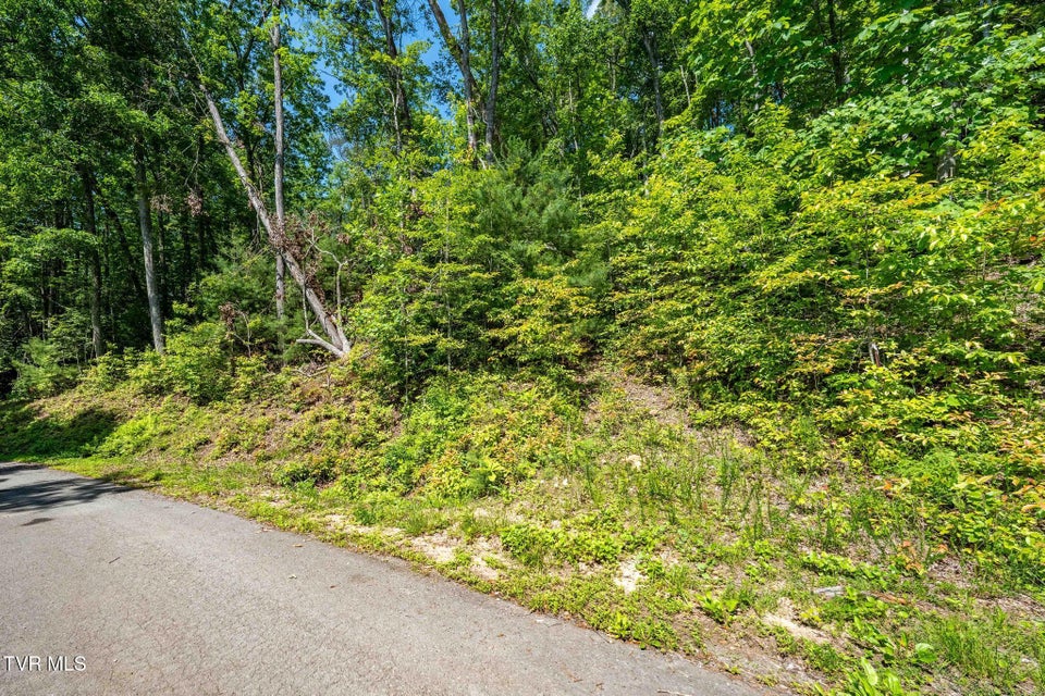 Photo #18: Tbd Longview Private Drive