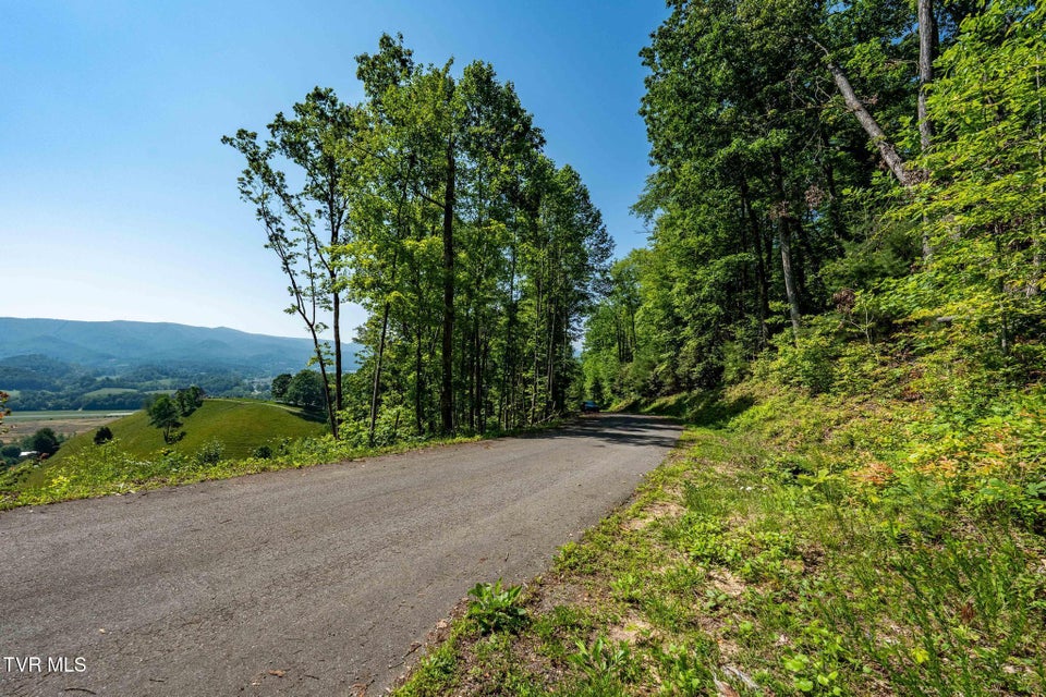 Photo #19: Tbd Longview Private Drive