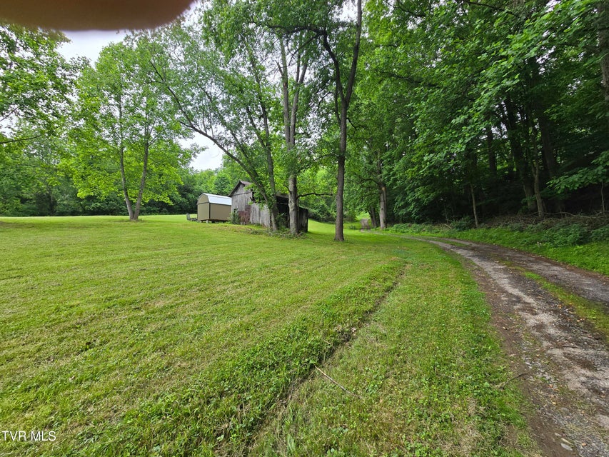 Photo #4: Tbd Clear Creek Road