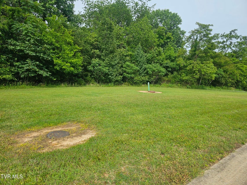 Photo #2: Lot 20 Bedford Circle