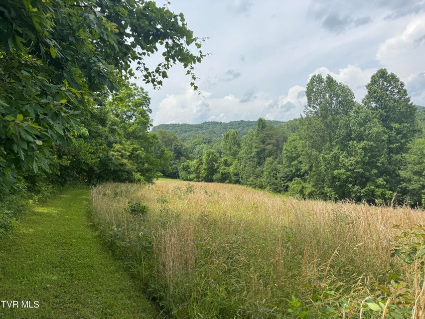 Photo #3: Lot 3 Country Drive