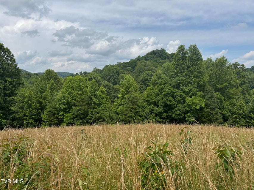 Photo #4: Lot 3 Country Drive