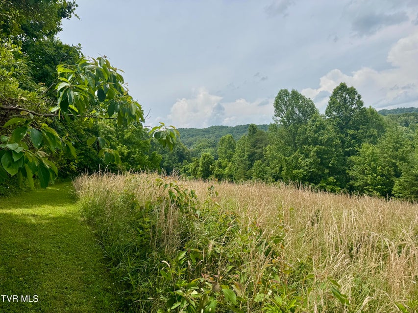 Photo #7: Lot 3 Country Drive