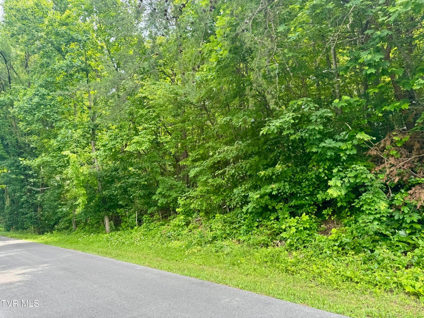 Photo #2: Lot 21 Country Drive