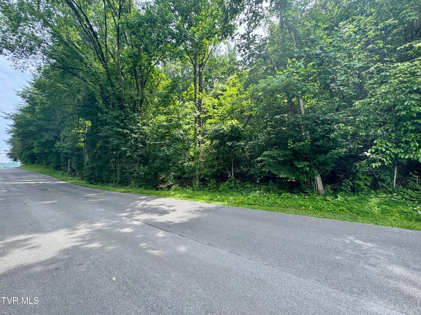 Photo #4: Lot 21 Country Drive