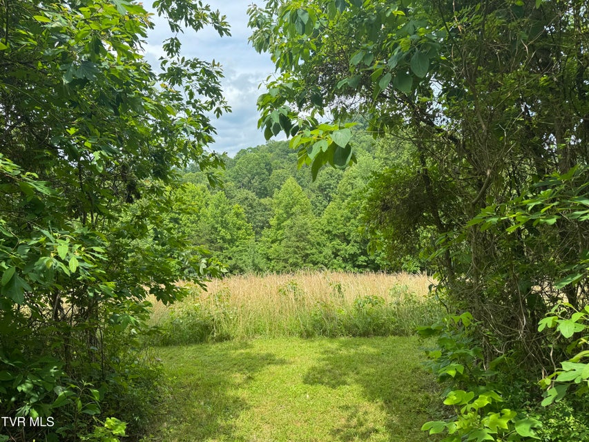 Photo #2: Lot 2 Country Drive
