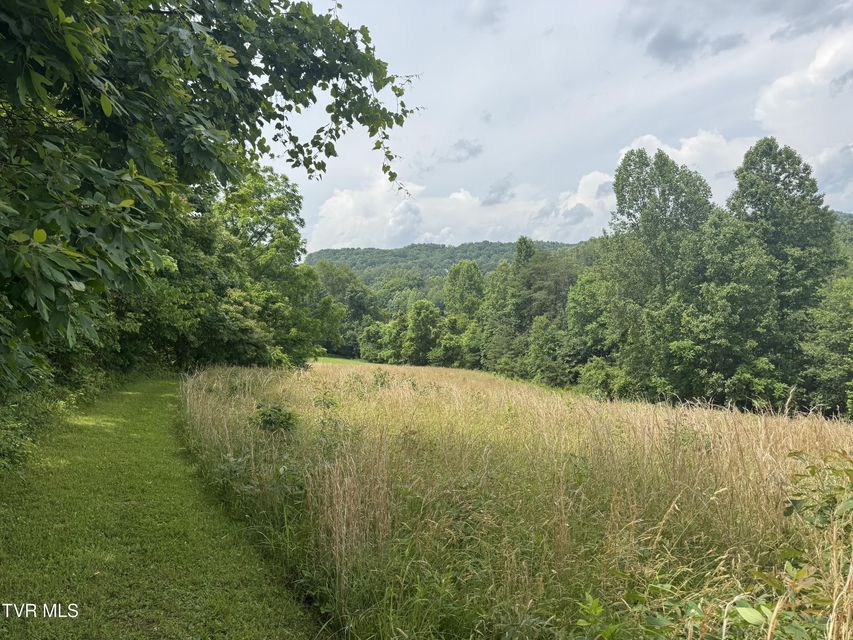 Photo #3: Lot 2 Country Drive
