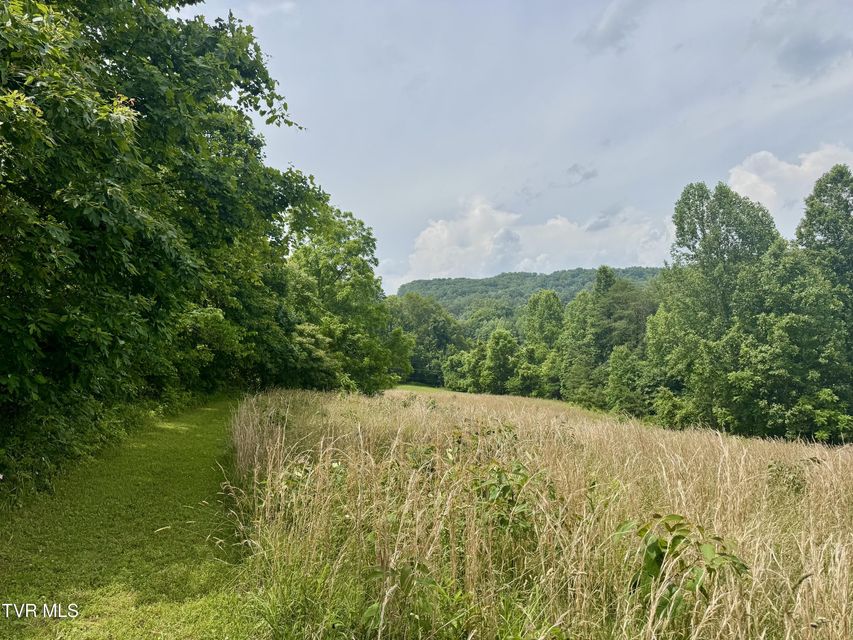 Photo #4: Lot 2 Country Drive