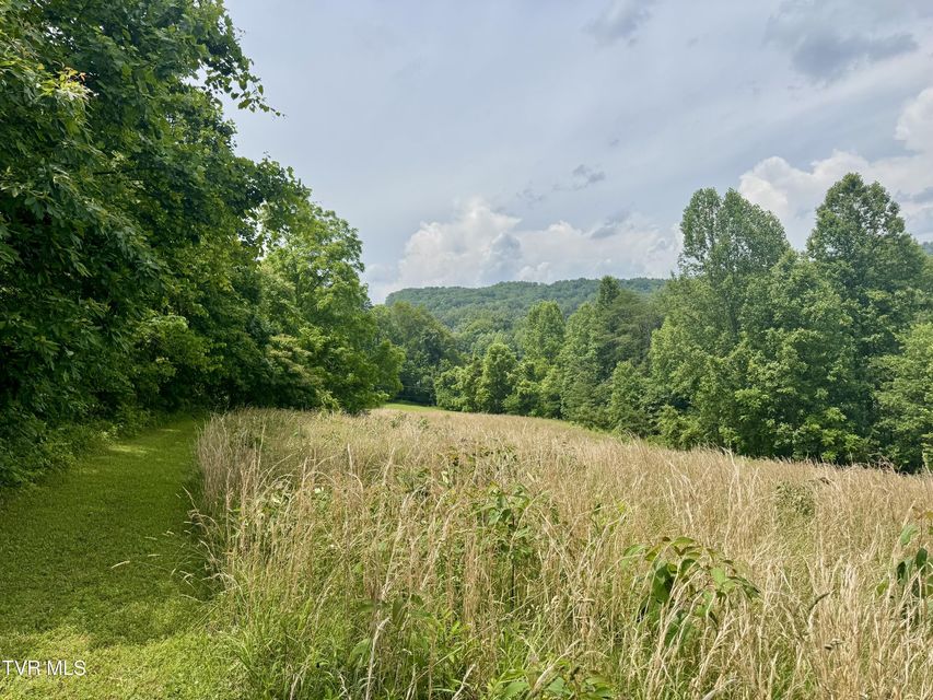 Photo #5: Lot 2 Country Drive