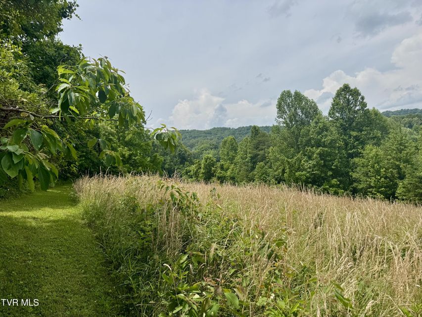 Photo #7: Lot 2 Country Drive