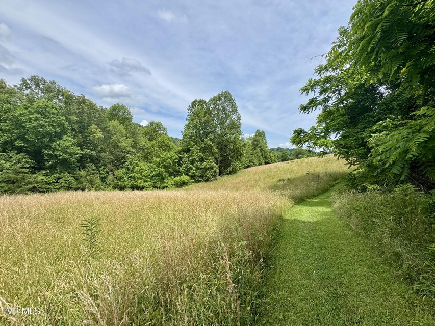 Photo #10: Lot 2 Country Drive