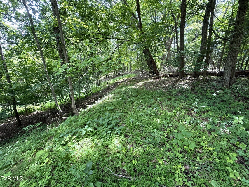 Photo #6: 5.74 Acres Bailey Cemetery Road