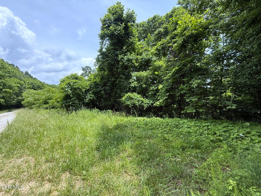 Photo #7: 5.74 Acres Bailey Cemetery Road