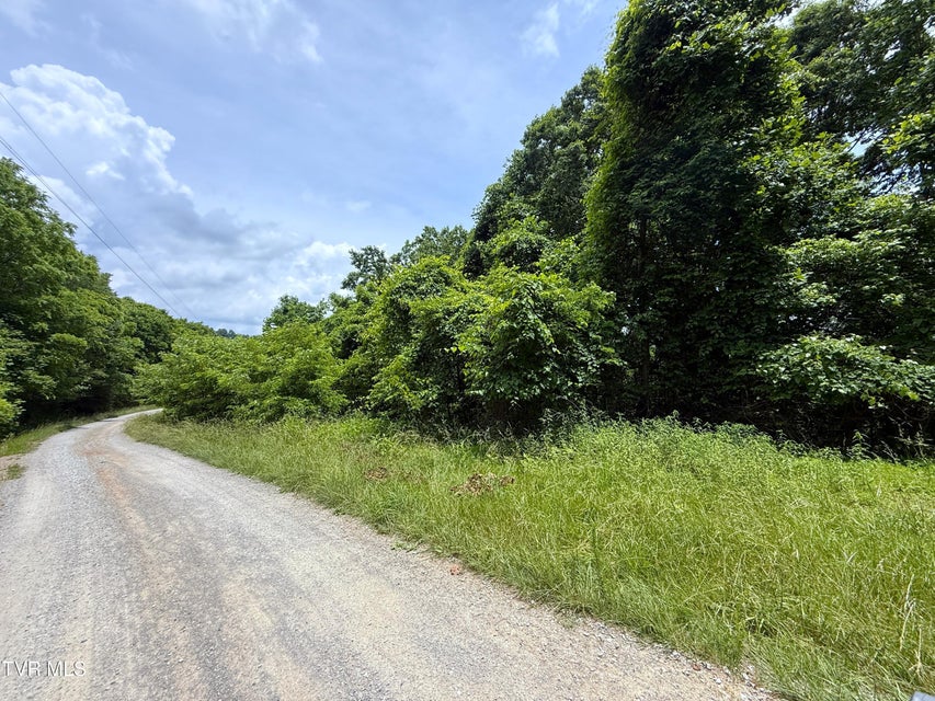 Photo #8: 5.74 Acres Bailey Cemetery Road