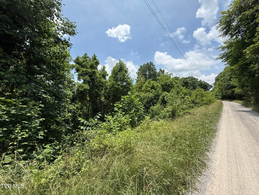 Photo #9: 5.74 Acres Bailey Cemetery Road