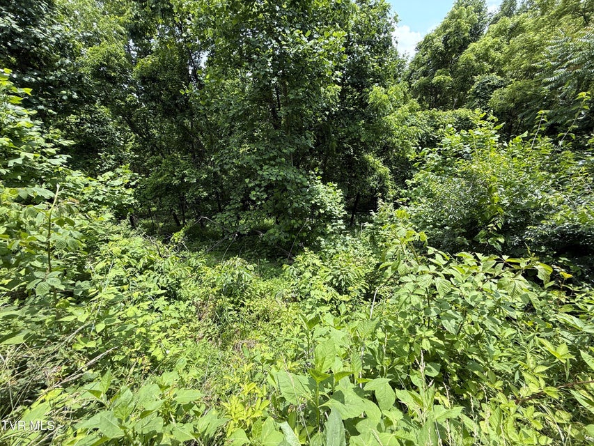 Photo #10: 5.74 Acres Bailey Cemetery Road