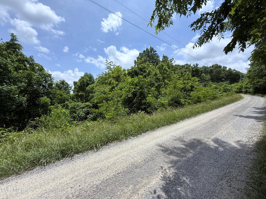Photo #11: 5.74 Acres Bailey Cemetery Road
