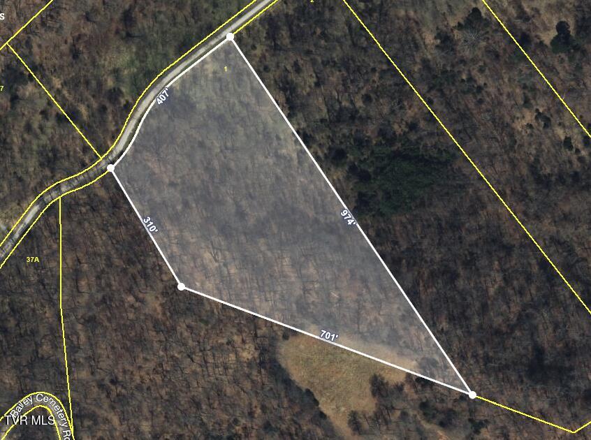 Photo #12: 5.74 Acres Bailey Cemetery Road