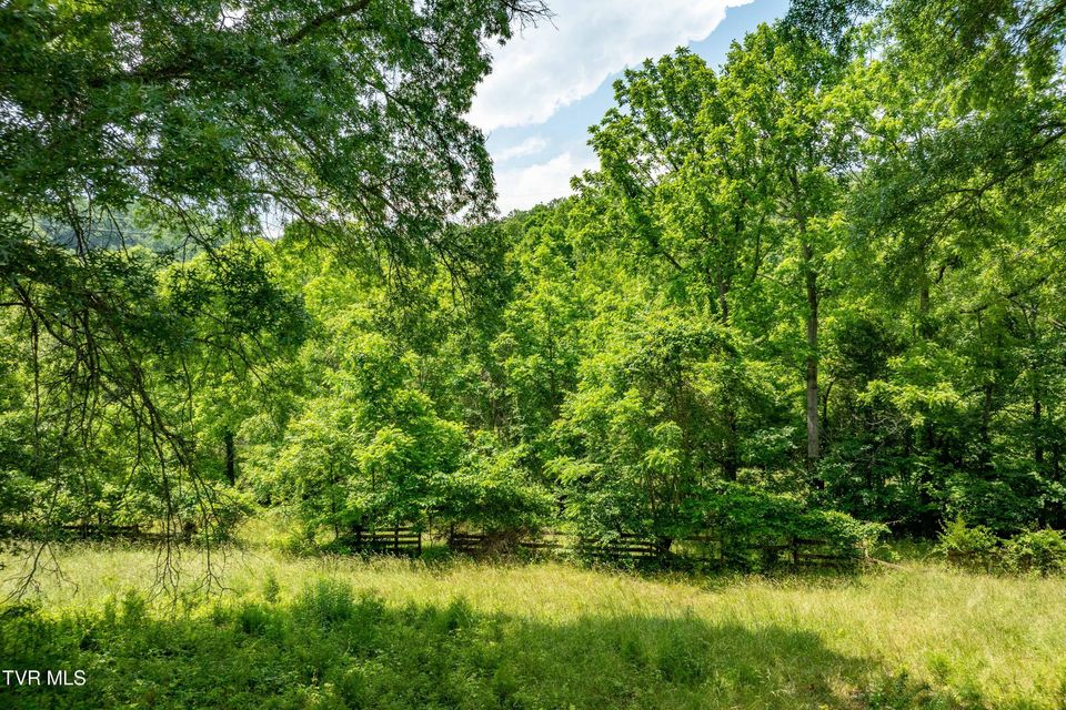 Photo #32: 2898 Watauga Road