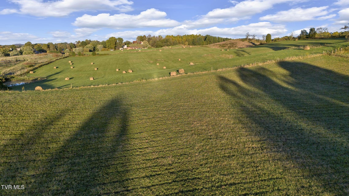 Photo #11: 1056 White Top Road