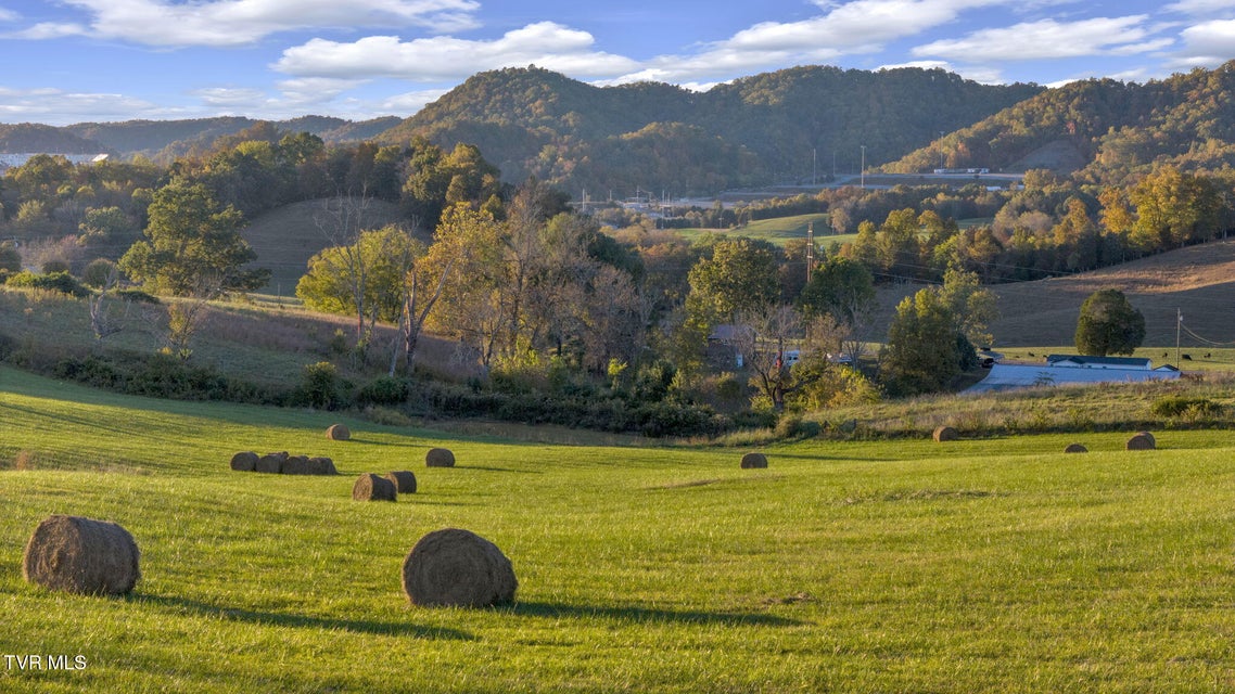 Photo #3: 1056 White Top Road