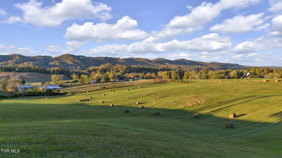 Photo #6: 1056 White Top Road