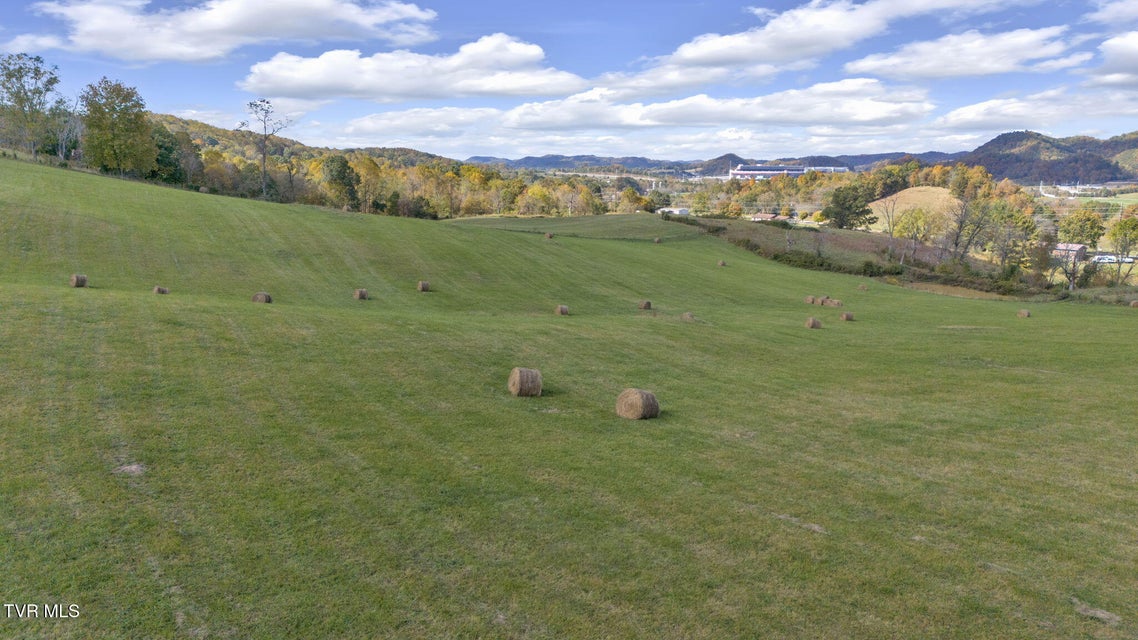 Photo #7: 1056 White Top Road