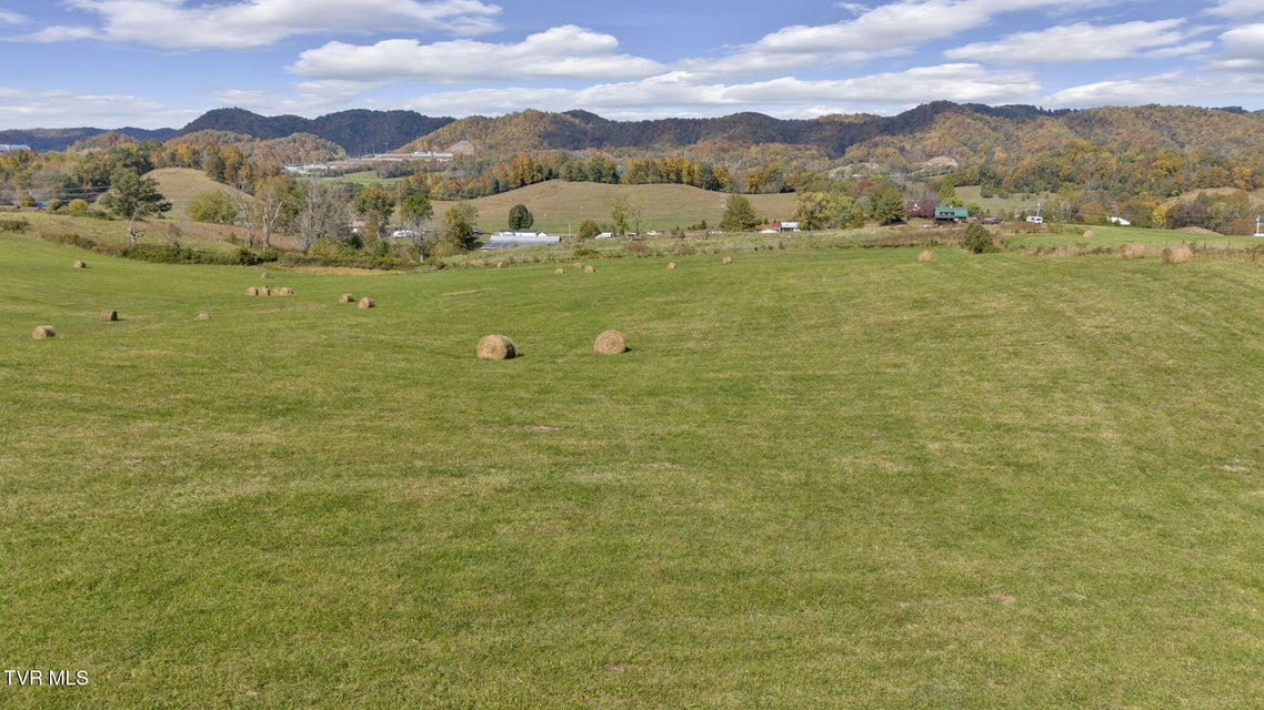 Photo #34: 1056 White Top Road