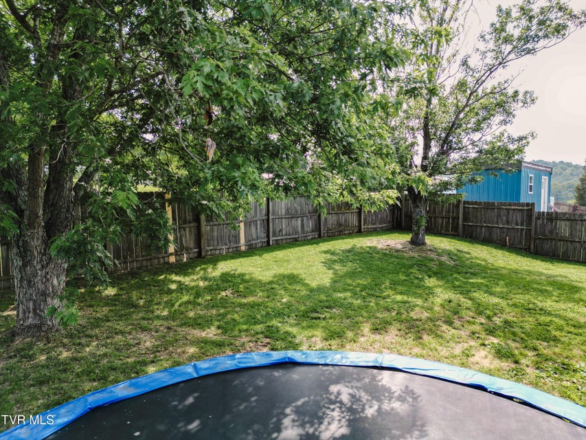 Photo #50: 473 Britton Avenue
