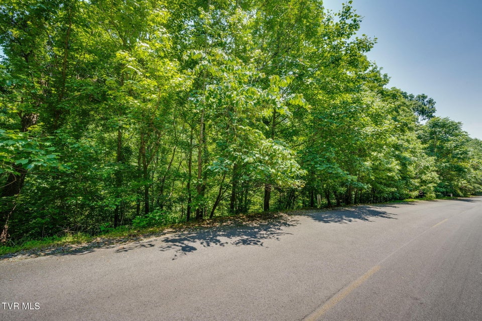 Photo #2: Lot 4 Walnut Bend Drive