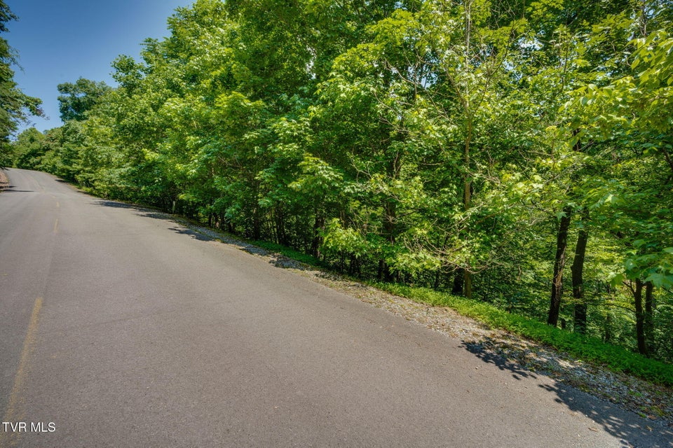 Photo #3: Lot 4 Walnut Bend Drive