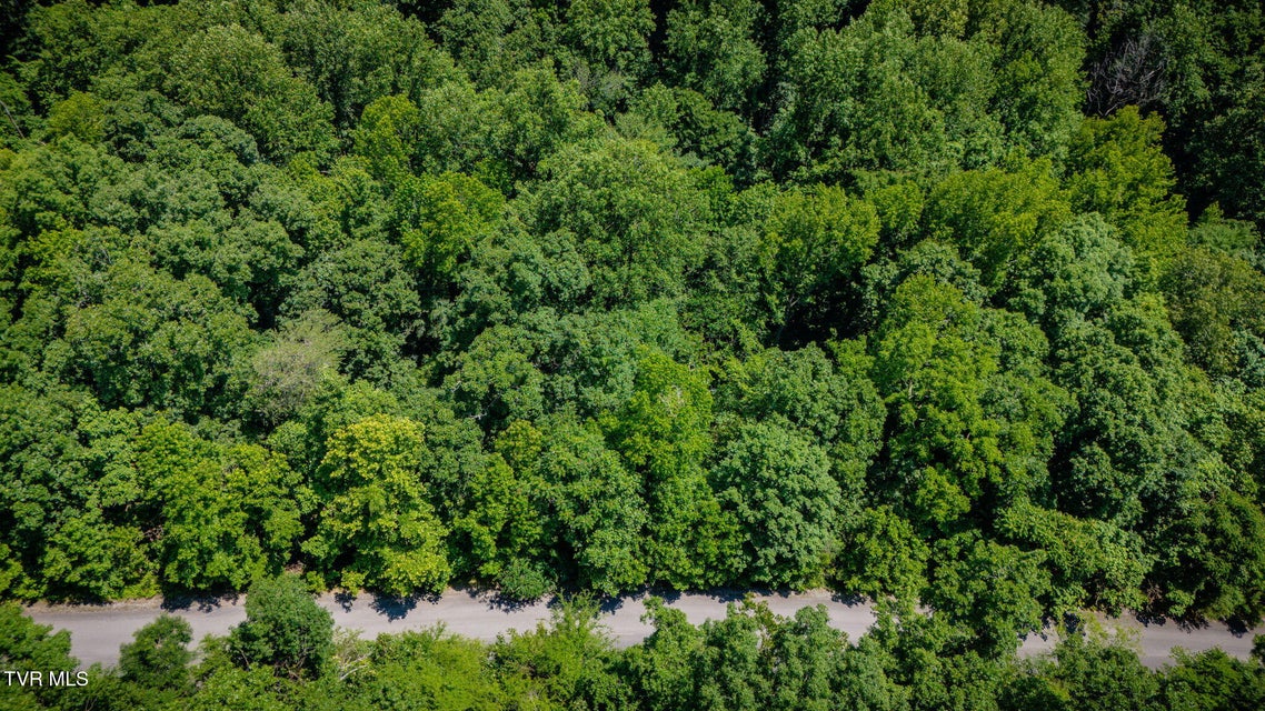 Photo #5: Lot 4 Walnut Bend Drive