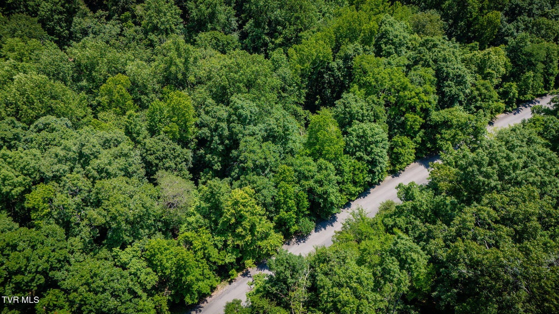 Photo #6: Lot 4 Walnut Bend Drive