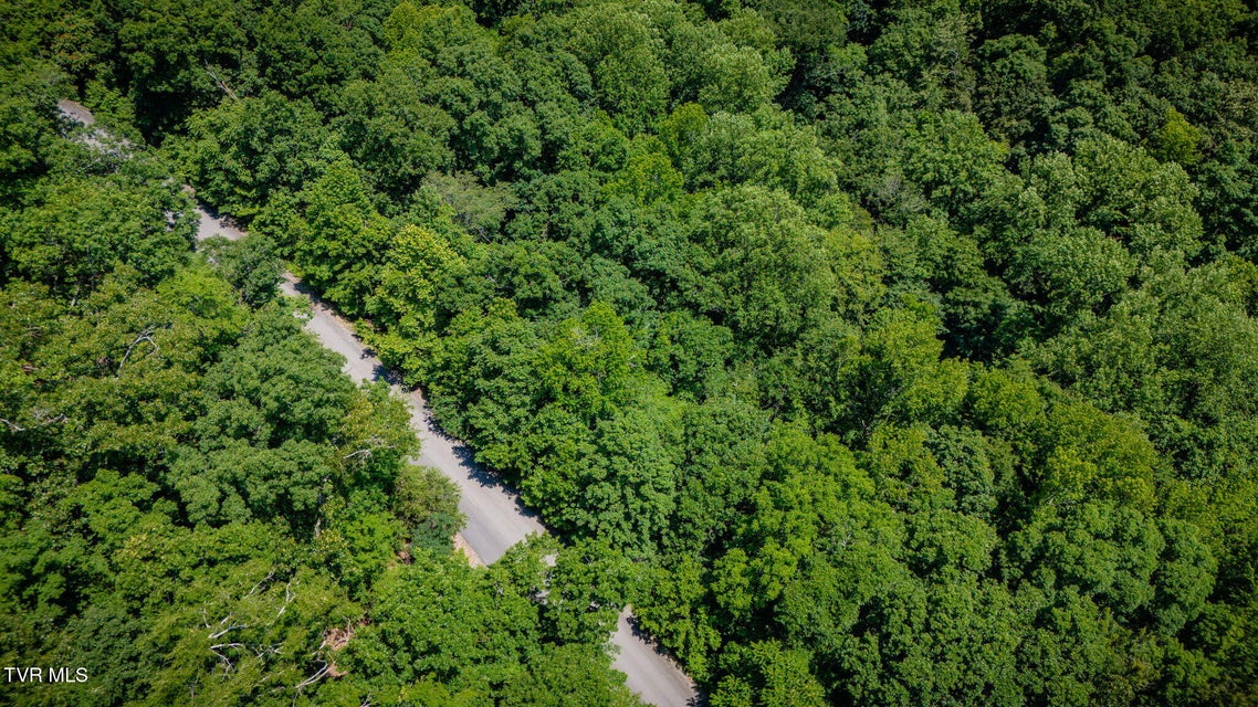 Photo #7: Lot 4 Walnut Bend Drive