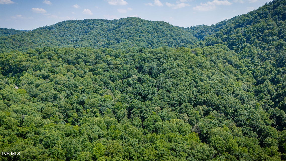 Photo #8: Lot 4 Walnut Bend Drive
