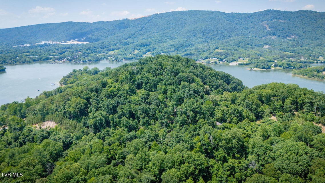 Photo #11: Lot 4 Walnut Bend Drive