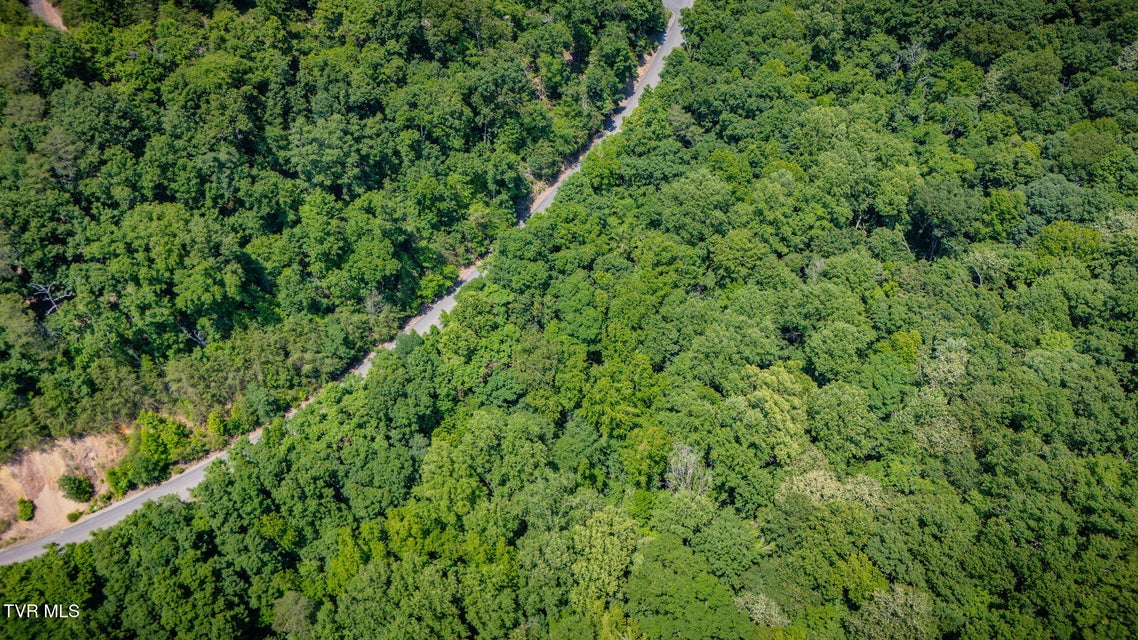 Photo #12: Lot 4 Walnut Bend Drive